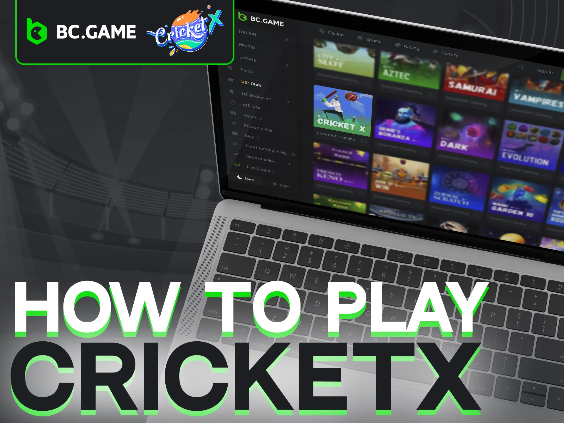 Bet wisely on Cricket X at BC Game for big wins.