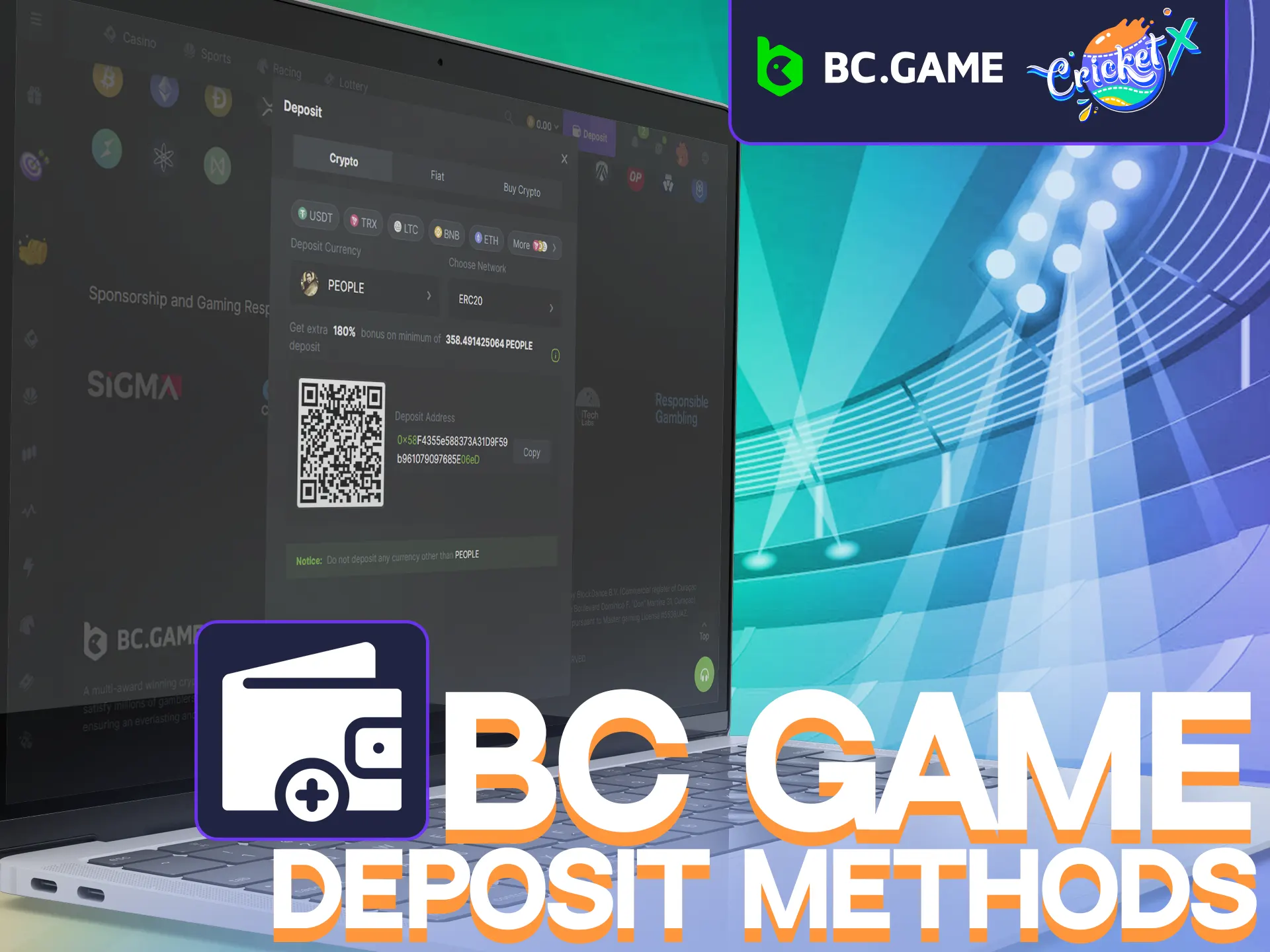 BC.GAME offers various deposit methods with specific terms for Cricket X players.